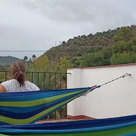 Apartamento Casa Con Vistas Al Campo Y Cocina Con Terraza Villanueva de San Juan Dış mekan fotoğraf