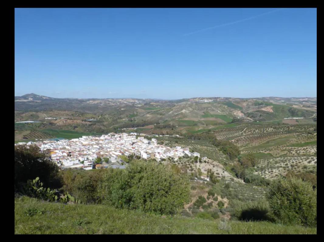 Apartamento Casa Con Vistas Al Campo Y Cocina Con Terraza Villanueva de San Juan Dış mekan fotoğraf
